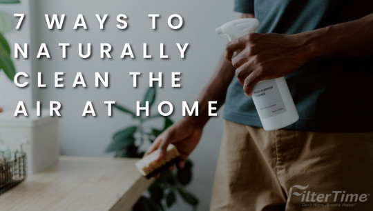7 Ways to Naturally Clean the Air at Home