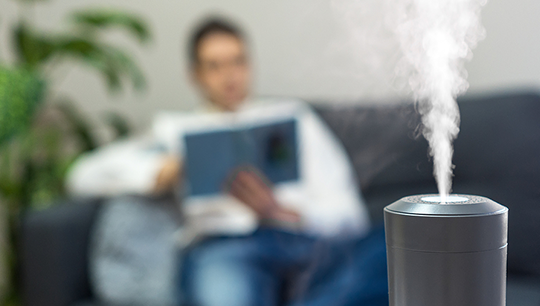 humidifier in living room