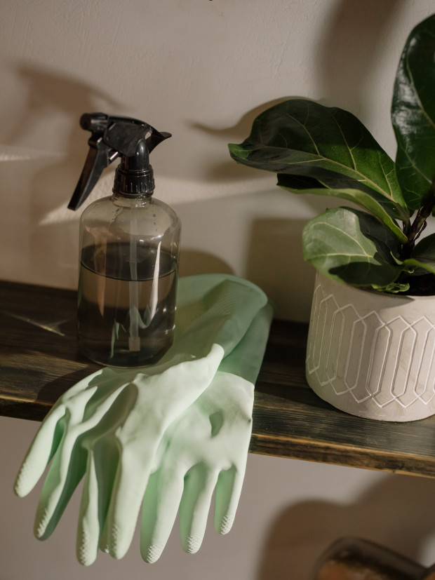 7 Ways to Naturally Clean the Air at Home