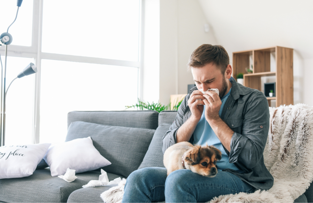 Allergy Season Is Coming: How a Fresh Air Filter Can Help You Breathe ...