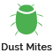 dust mites